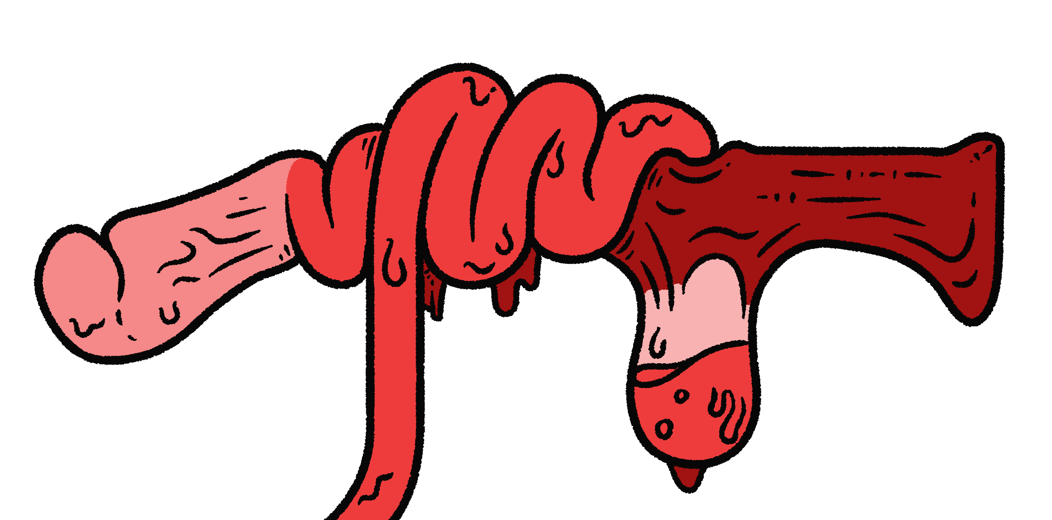 Illustration of a shotgun made of red flesh. The pink stock is formed from some unknown organ, a red tendrilous gut drapes over the side, and red skin is stretched to form a barrel. Underneath the barrel dangles a transparent sack full of blood.